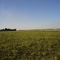 Campo en Pellegrini