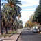Ciudad Pellegrini