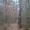 Lone Star Trail towards Double Lake