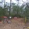 Forest Service Road for Recreation