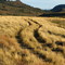 camino a la estepa