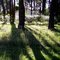 Sombras largas.