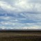 Patagonia