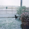 Nevada en Bahia Blanca 10/07/2007