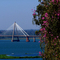 Río Paraná