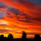 Atardecer arboles2