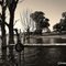 Espigón de la isla en la laguna de Puan - Buenos Aires - Argentina