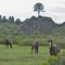 Laguna Giles Horses. Departamento Aluminé - Neuquén, Argentinien