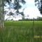 campo-che