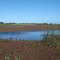 Laguna de Ranchos (jfe)