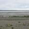 COSTANERA RIO GALLEGOS
