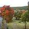 Estancia Las Hijas en otoño