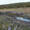 beaver-constructed dams in Tierra del Fuego