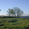 Molino en el campo - 2001