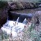 Salto de Agua, cerca de salto