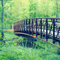 Johnson Park Nature Trail