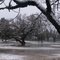 Nevada en San Jorge/g_tapiero (credito: Orlando Difilipo)