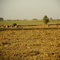 Campo Sanjustino