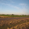 LLegando a Mendoza-en el fondo ..la cordillera nevada