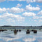 Laguna Las Perdices