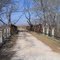 Crane Lane CR 300 pony truss bridge (Abandoned)