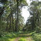CAMINO INTERNO INTA CUARTEL RIO VICTORIA