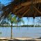  ✯  Paraná de las Palmas