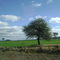 El wallpaper de windows XP!!!!