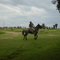 de a caballo