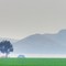 Paisaje rural