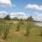 Laguna interna de la Dolores