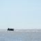Vehiculos Anfibios??? en el rio de la plata -- de fondo las torres la ciudad de Buenos Aires