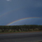 Viedma
