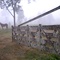 Niebla en el campo