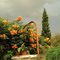 Día de tormenta