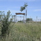 "El Aguaribay"
