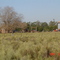 ESTACION LAS TAHONAS