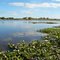 Costanera en "Victoria"  "Entre Rios"  "Arg"