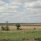 LOS CAMPOS PAMPEANOSSSSS