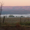 Niebla en el valle