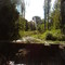 Arroyito en camping Tannenwald
