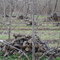 invierno en la chacra