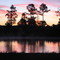 Winter sunrise - TX
