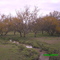 Campo en primavera