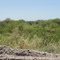 El campo al norte de Los Conquistadores