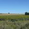 Tandil, Paisaje Rural