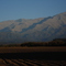 Cultivo de papa El Molino