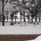 Parque Sarmiento Nevado
