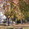 Plaza del barrio Alberdi