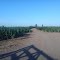 Zona Rural Coronel Moldes